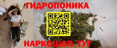 прущие крисы Конаково