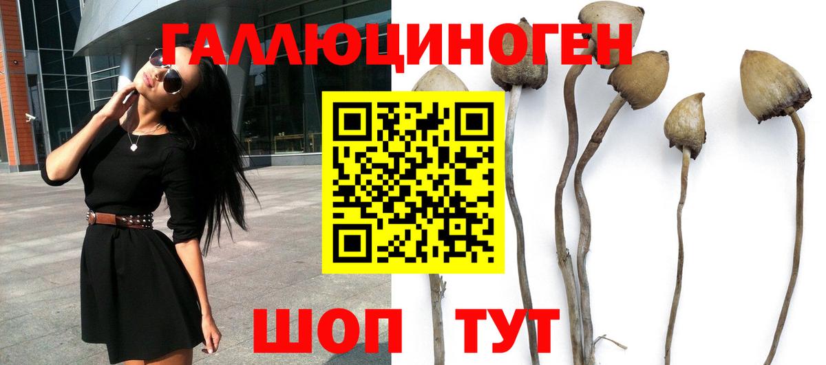 Галлюциногенные грибы Cubensis Котельники